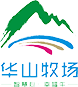 开云体育平台app