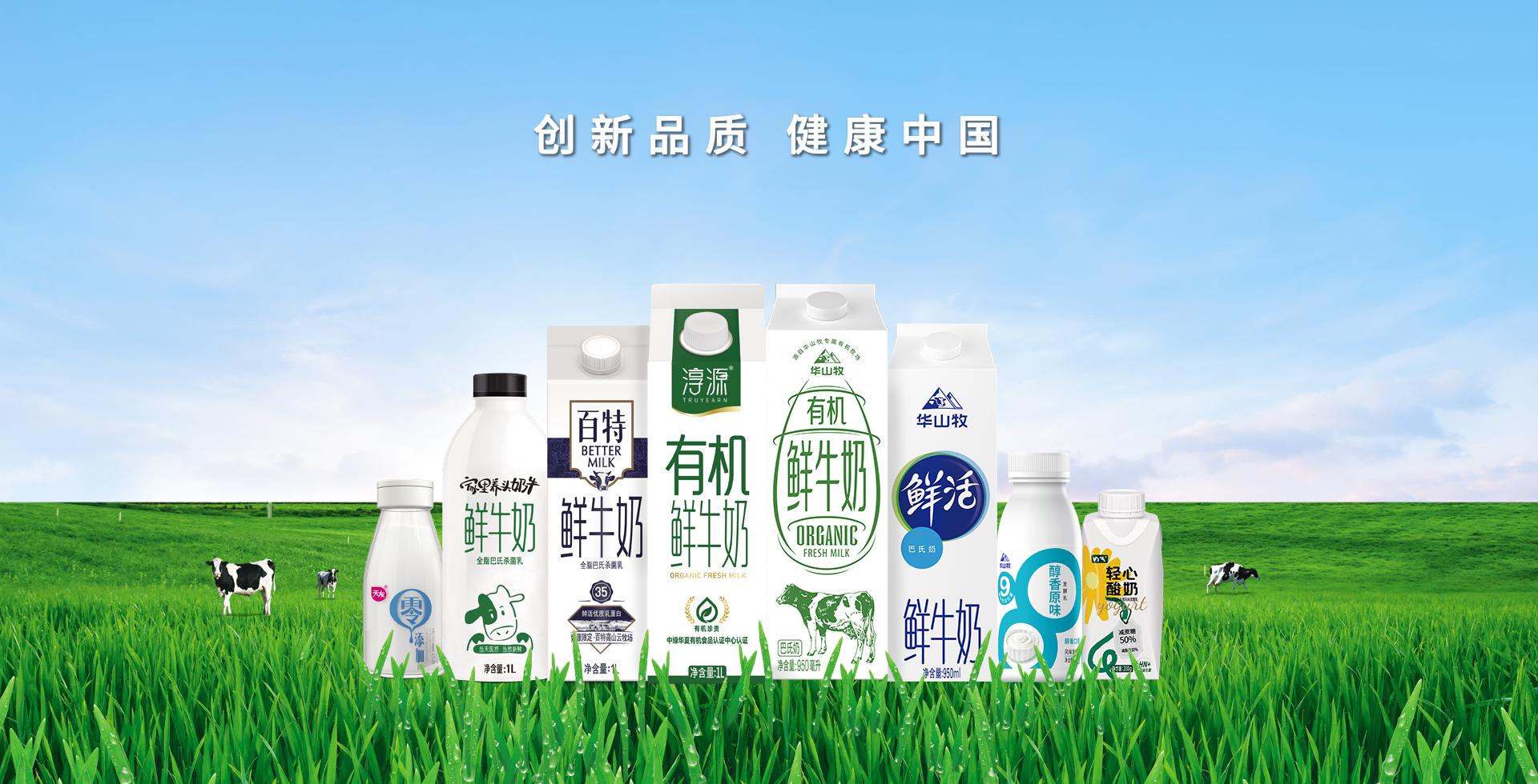 开云体育平台app